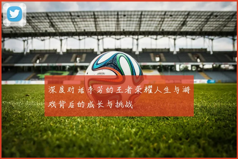 深度对话李芳的王者荣耀人生与游戏背后的成长与挑战
