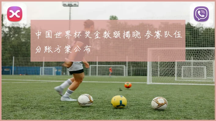 中国世界杯奖金数额揭晓 参赛队伍分账方案公布