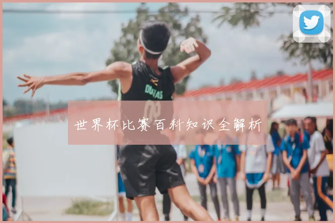 世界杯比赛百科知识全解析