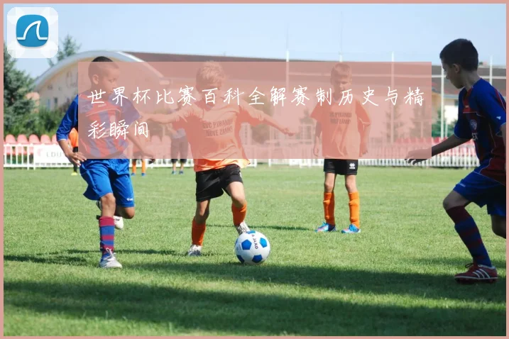 世界杯比赛百科全解赛制历史与精彩瞬间