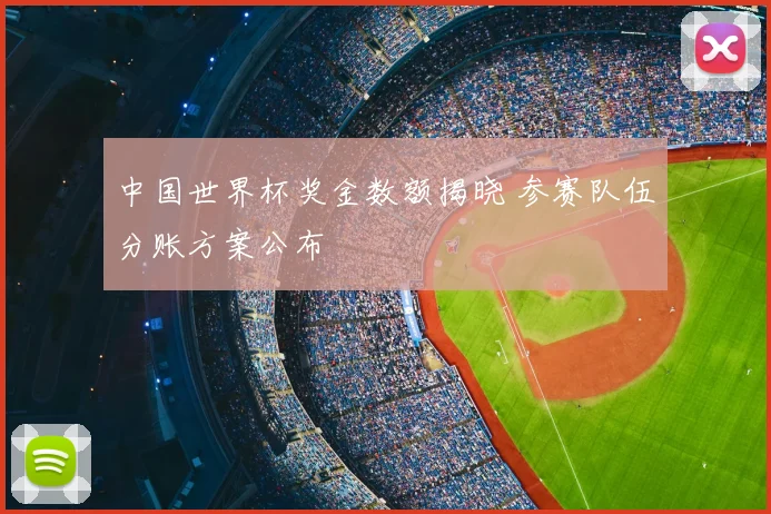 中国世界杯奖金数额揭晓 参赛队伍分账方案公布
