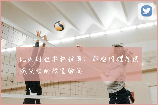 比利时世界杯往事：那些闪耀与遗憾交织的绿茵瞬间