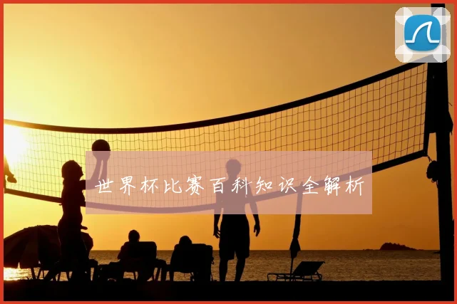 世界杯比赛百科知识全解析