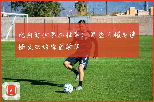 比利时世界杯往事：那些闪耀与遗憾交织的绿茵瞬间