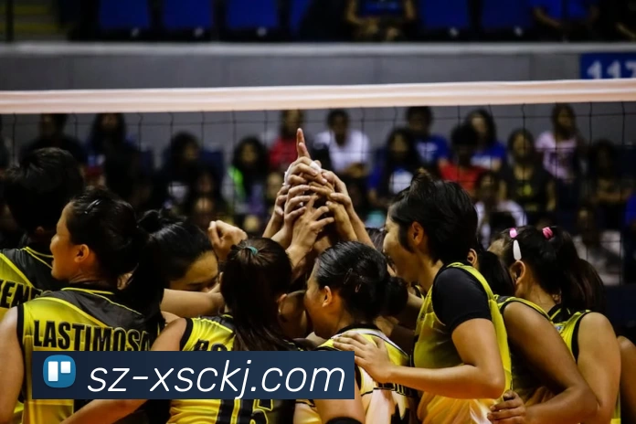 九游会·j9官网服务体系